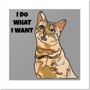 Cat I Do What I Want Posters and Art